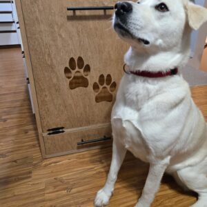 Dog Food Cabinet